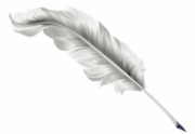 feather icon